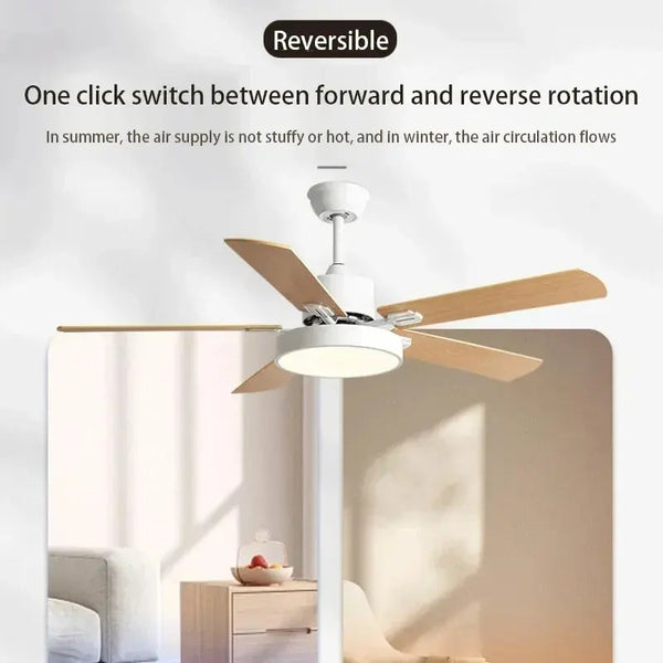 Ventilateur Plafond Luxe Lumière