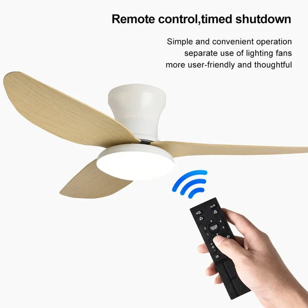 Ventilateur Plafond Luxe